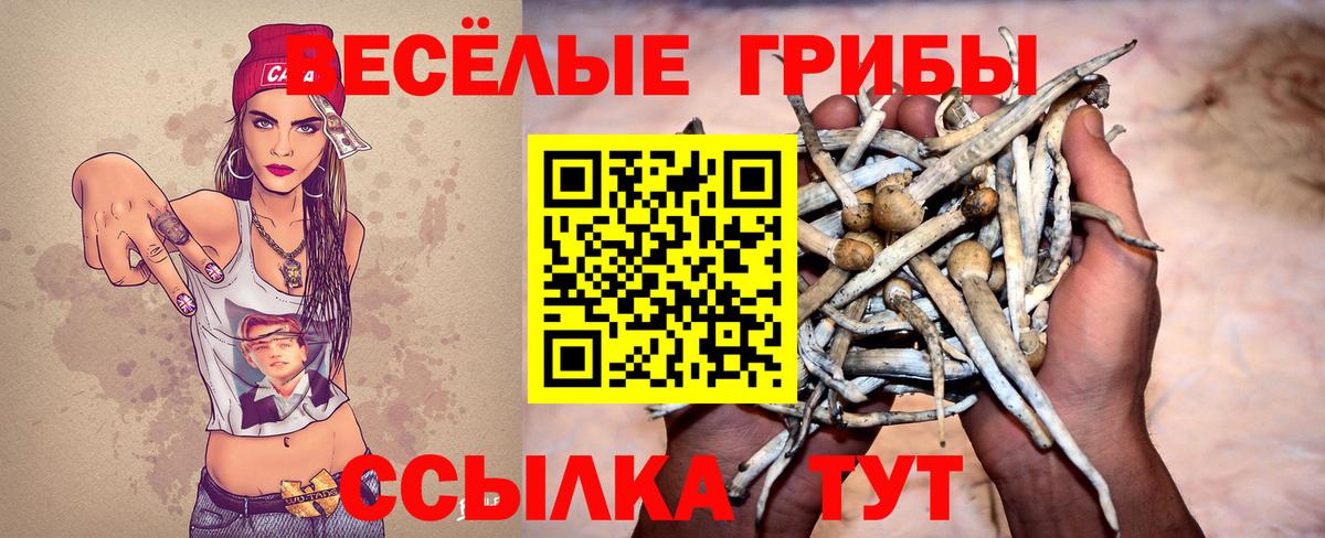 Ейск  Псилоцибиновые грибы Magic Shrooms  Вход с VPN 