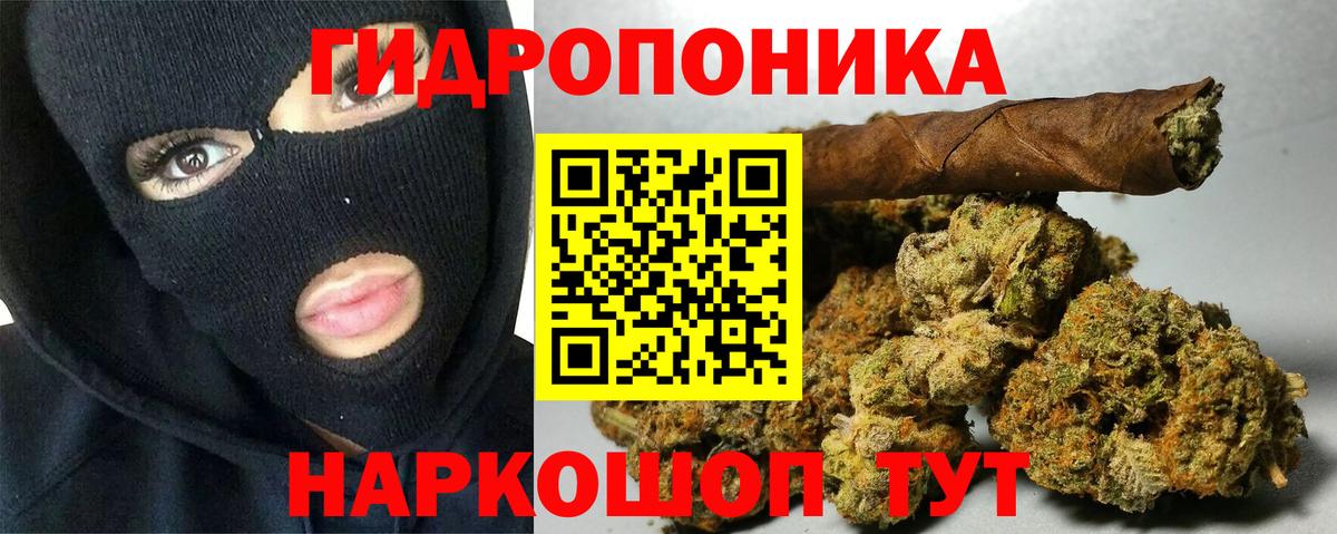 Каннабис White Widow Ейск